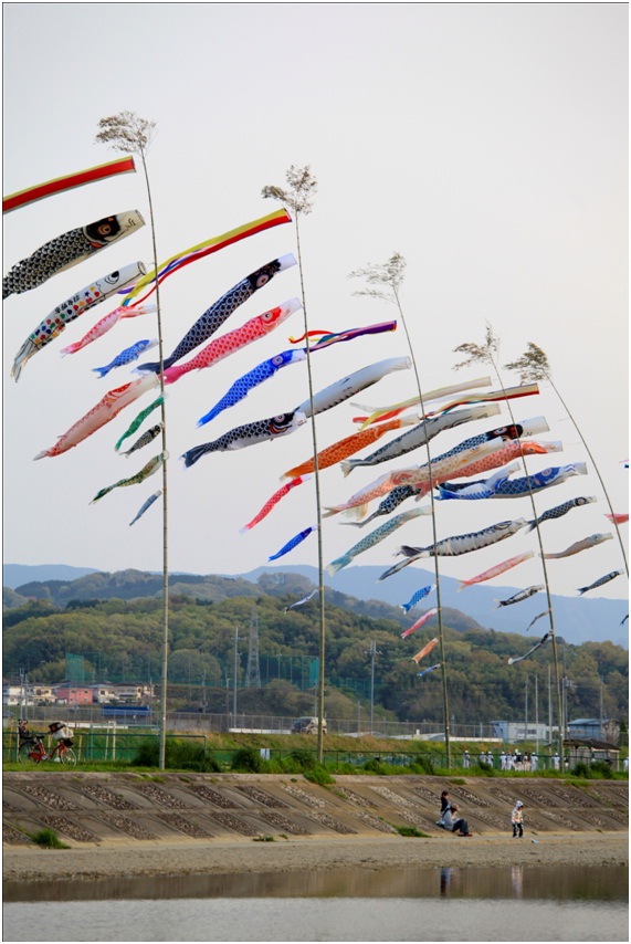 koinobori 2.jpg
