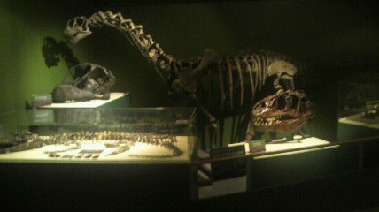 2012062914420000.jpg