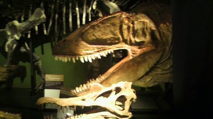 2012062914440000.jpg