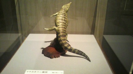 2012062914460000.jpg