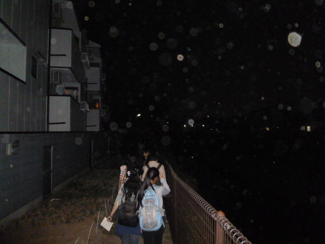 P1000687.JPG