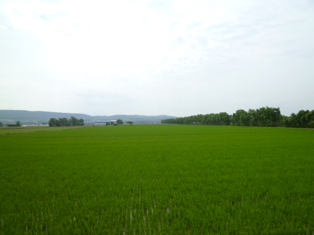 P1000832.JPG