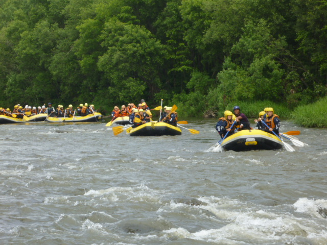 P1000862.JPG