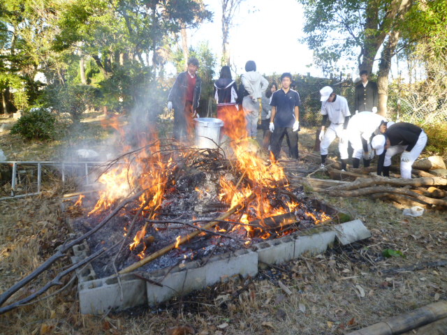 P1010654.JPG
