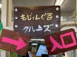 IMG_155-thumb-800xauto-916706.jpg