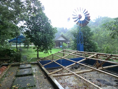 CIMG0813.jpg
