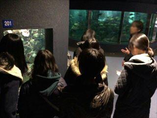 181225 水族館ツアー_R_R.JPG