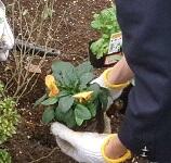 100_3184.JPG