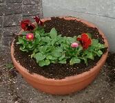 100_3185.JPG
