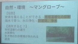 沖縄５.JPG