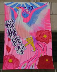 20250521_092830.JPG