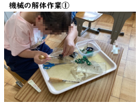 機械①