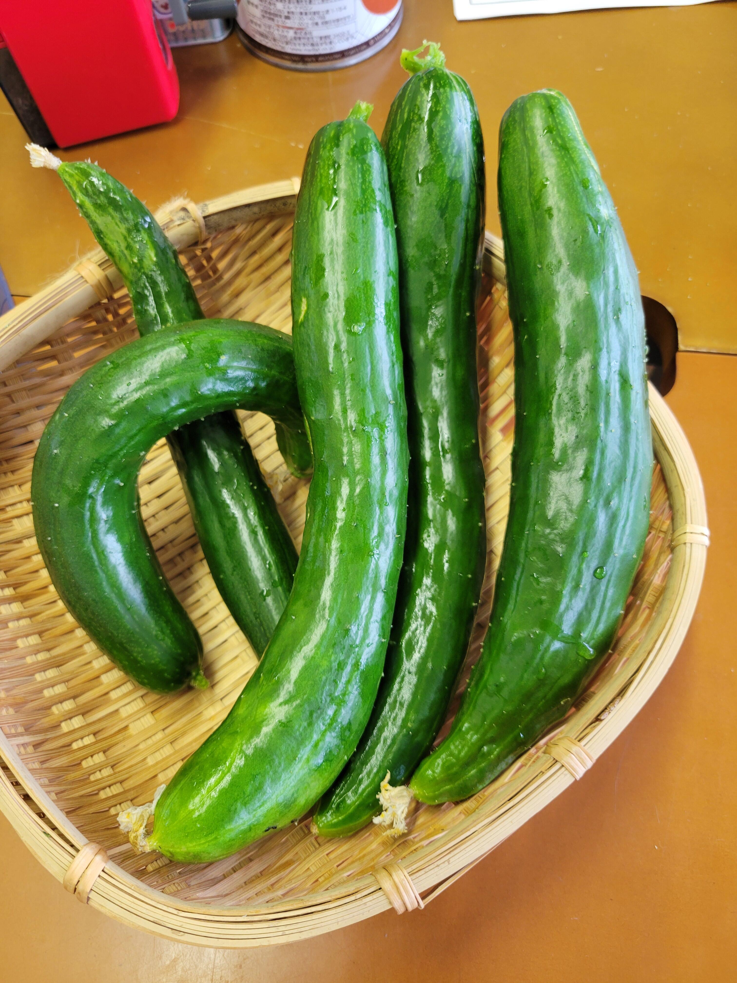 20250623_103937.jpg