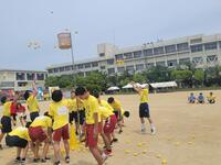 20240606_102438(0).jpg
