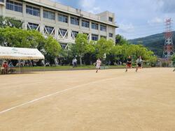 20240606_111607.jpg
