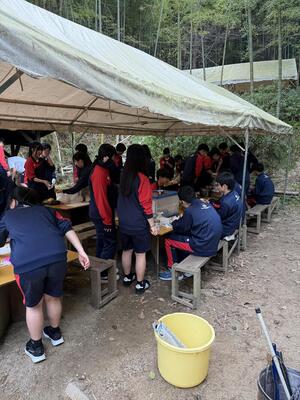 IMG_8142.jpeg