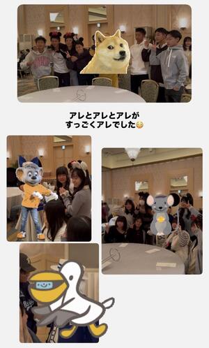 IMG_7141.jpeg