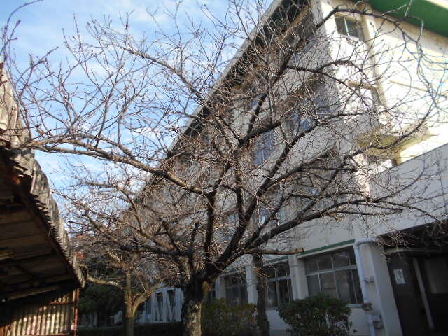 冬景色食堂周辺 (3).JPG