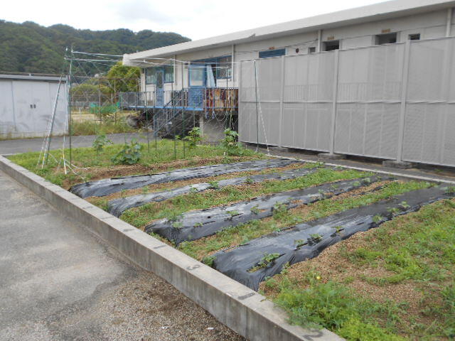 自立農場 (4).JPG