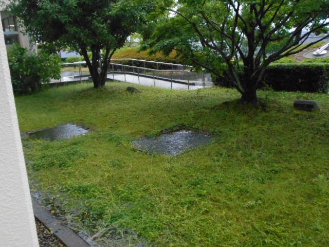 台風2号 (19).JPG