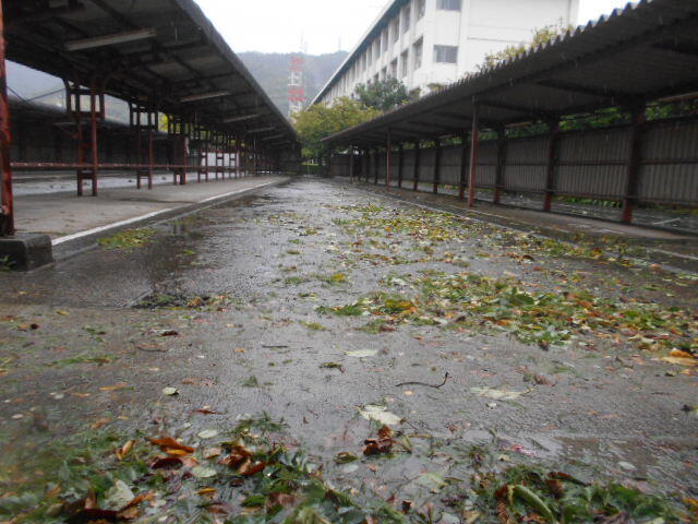 台風7号 (17).JPG