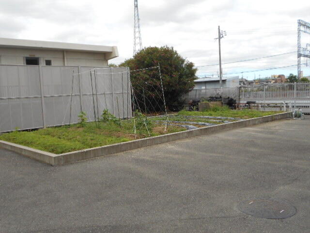 自立農場 (1).JPG