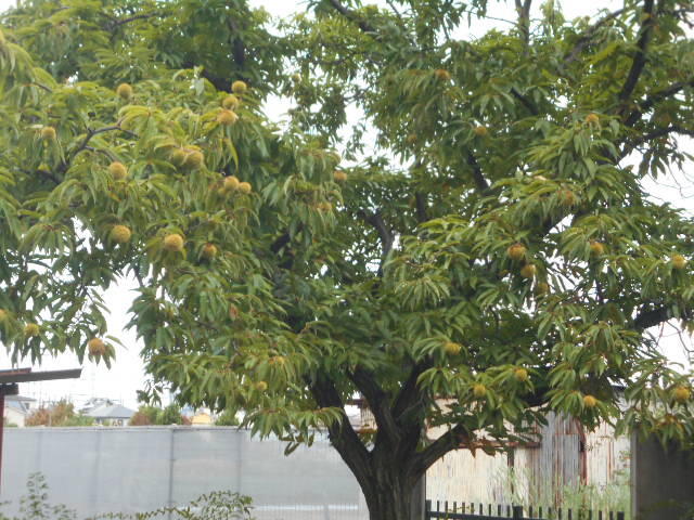 DSCN0017.JPG