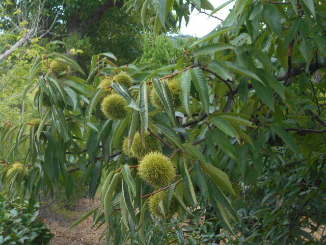 DSCN0021.JPG