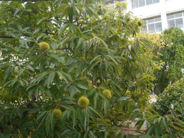 DSCN0022.JPG