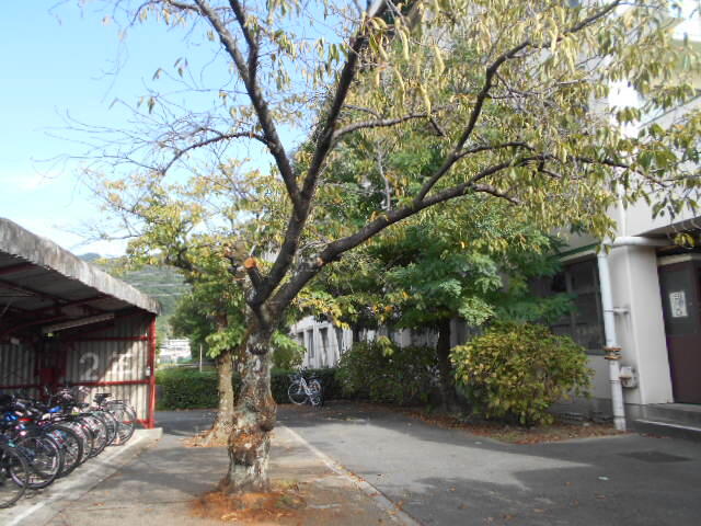 DSCN0045.JPG