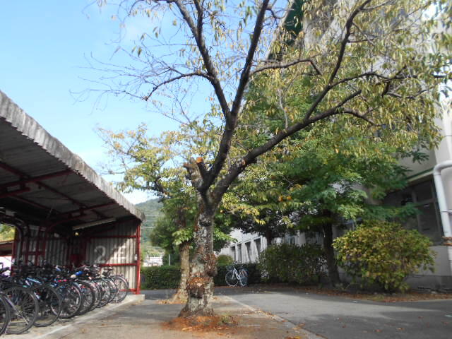 DSCN0046.JPG