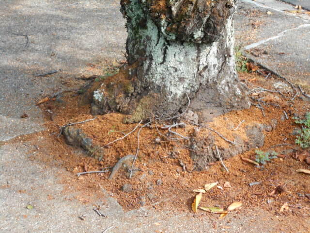 DSCN0048.JPG