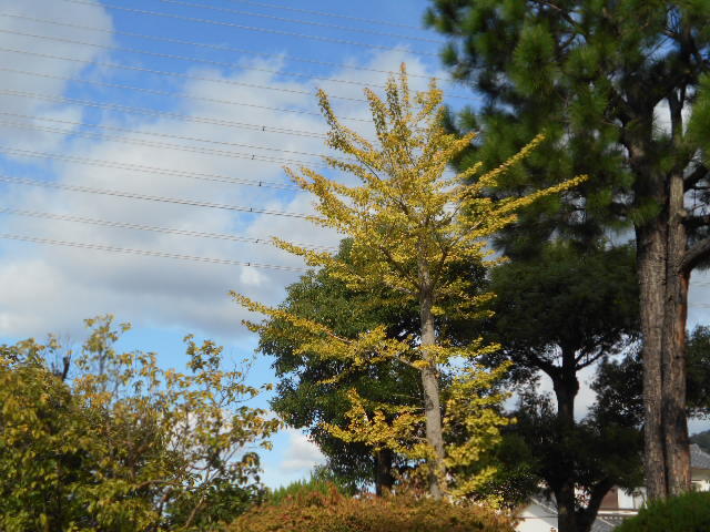 DSCN0370.JPG