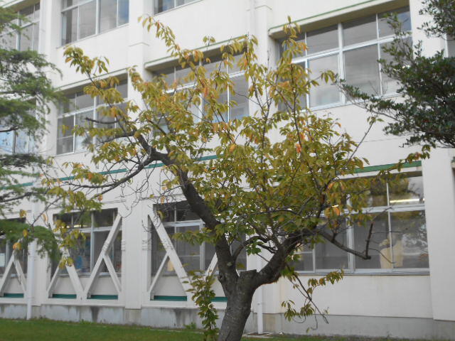 DSCN0372.JPG