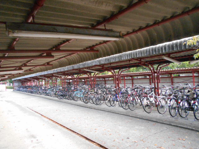 DSCN0376.JPG