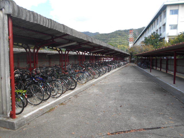 DSCN0377.JPG