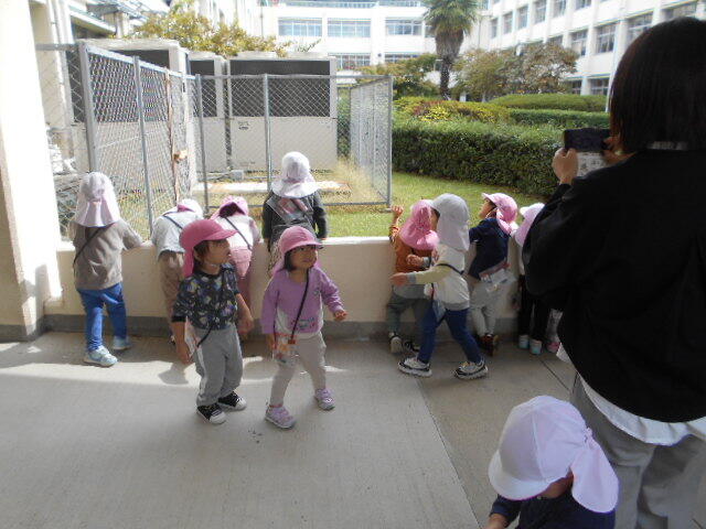 DSCN0403.JPG