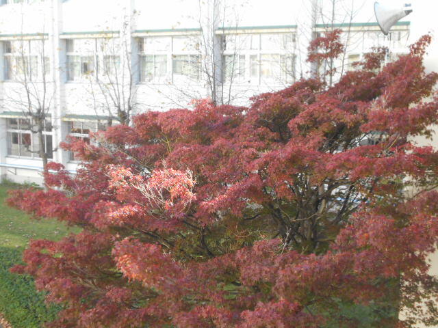 DSCN0582.JPG
