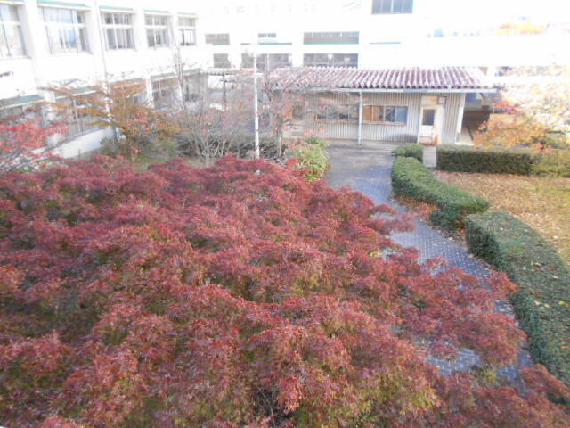 DSCN0585.JPG