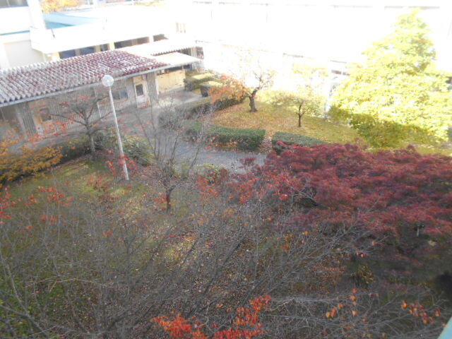 DSCN0587.JPG