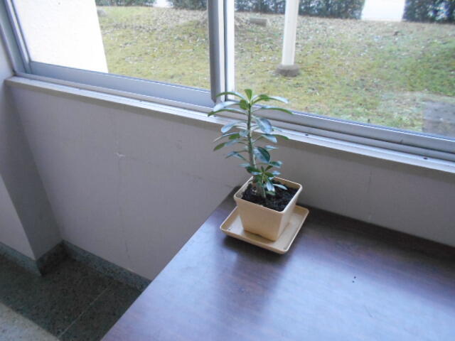 DSCN0609.JPG