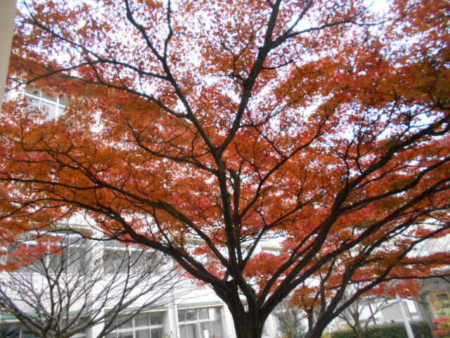 DSCN0729.JPG