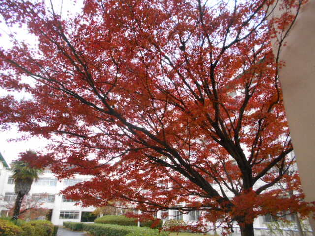 DSCN0731.JPG
