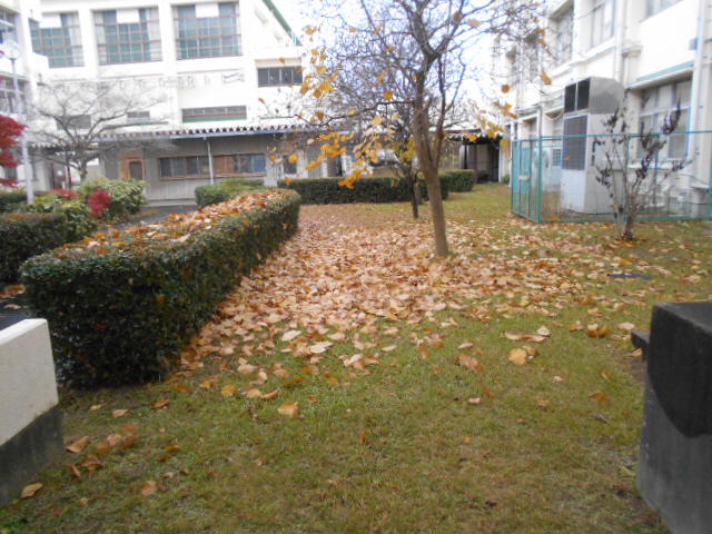 DSCN0732.JPG