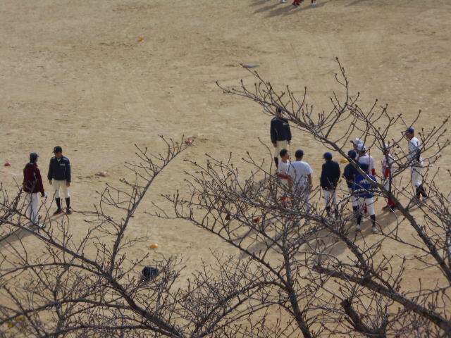 DSCN0819.JPG