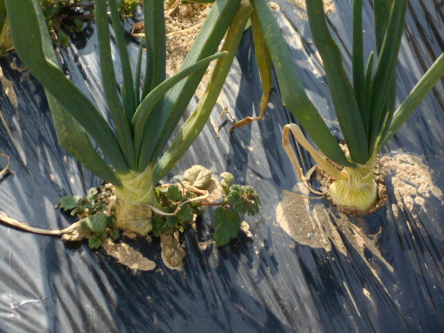 DSCN0976.JPG