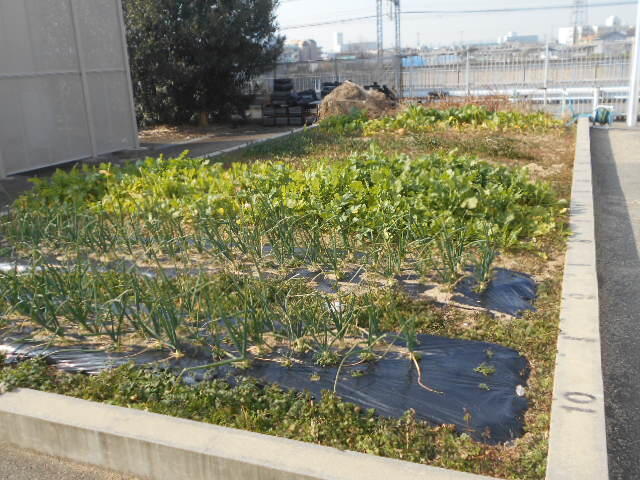 DSCN0979.JPG
