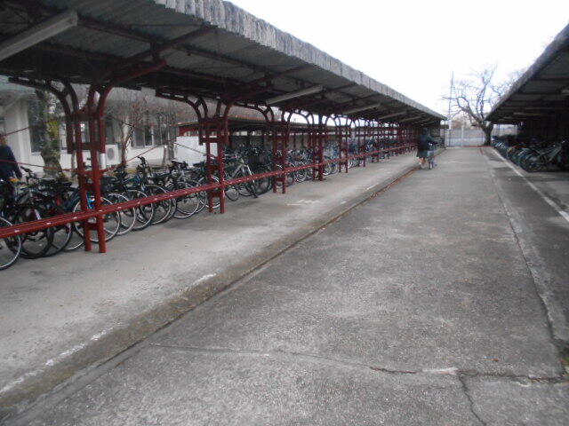 DSCN1061.JPG
