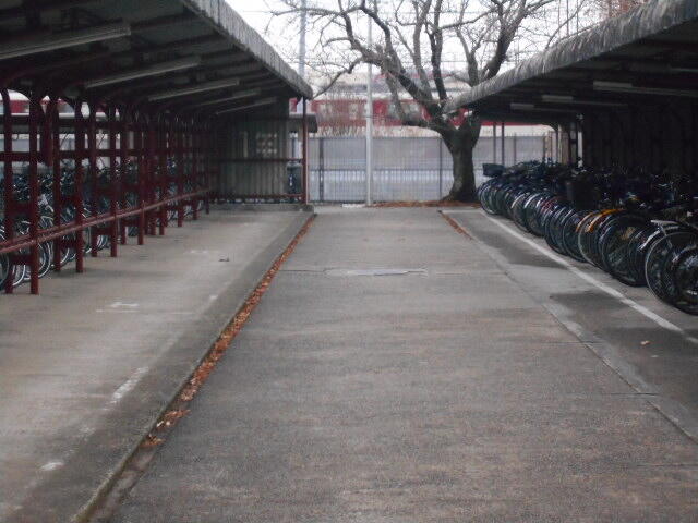 DSCN1064.JPG