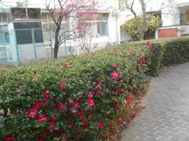 DSCN1197.JPG